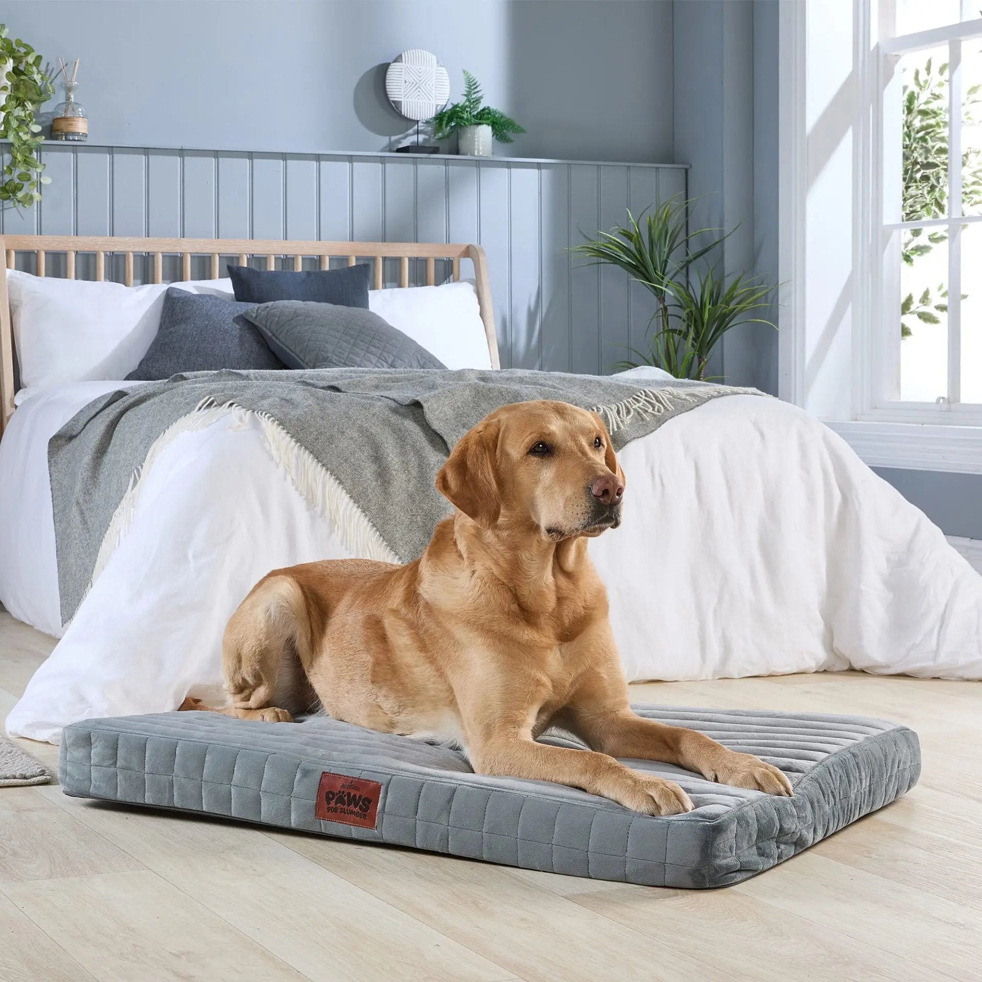 Paws For Slumber Orthopaedic Pet Bed Slumberdown