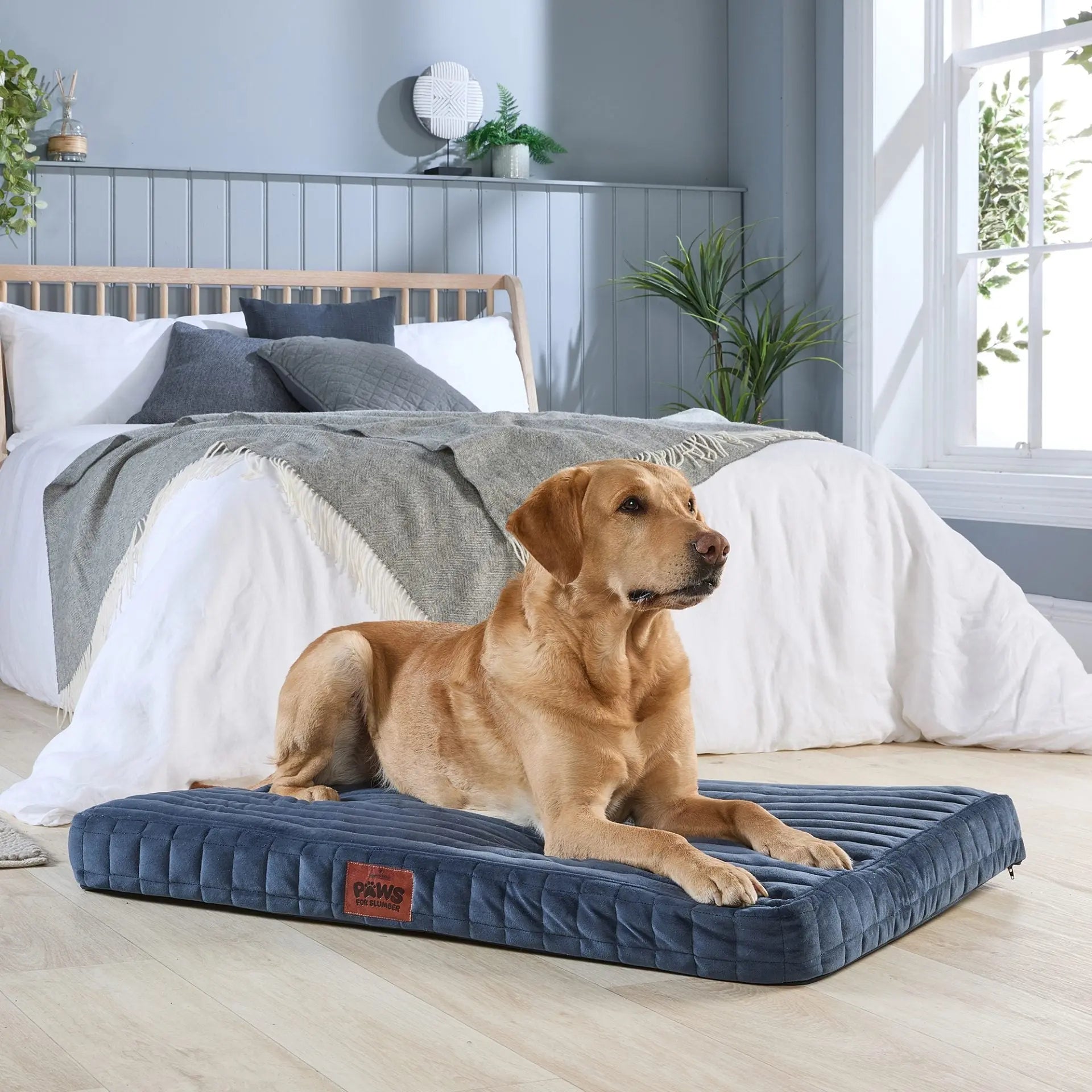 Paws For Slumber Orthopaedic Pet Bed Slumberdown