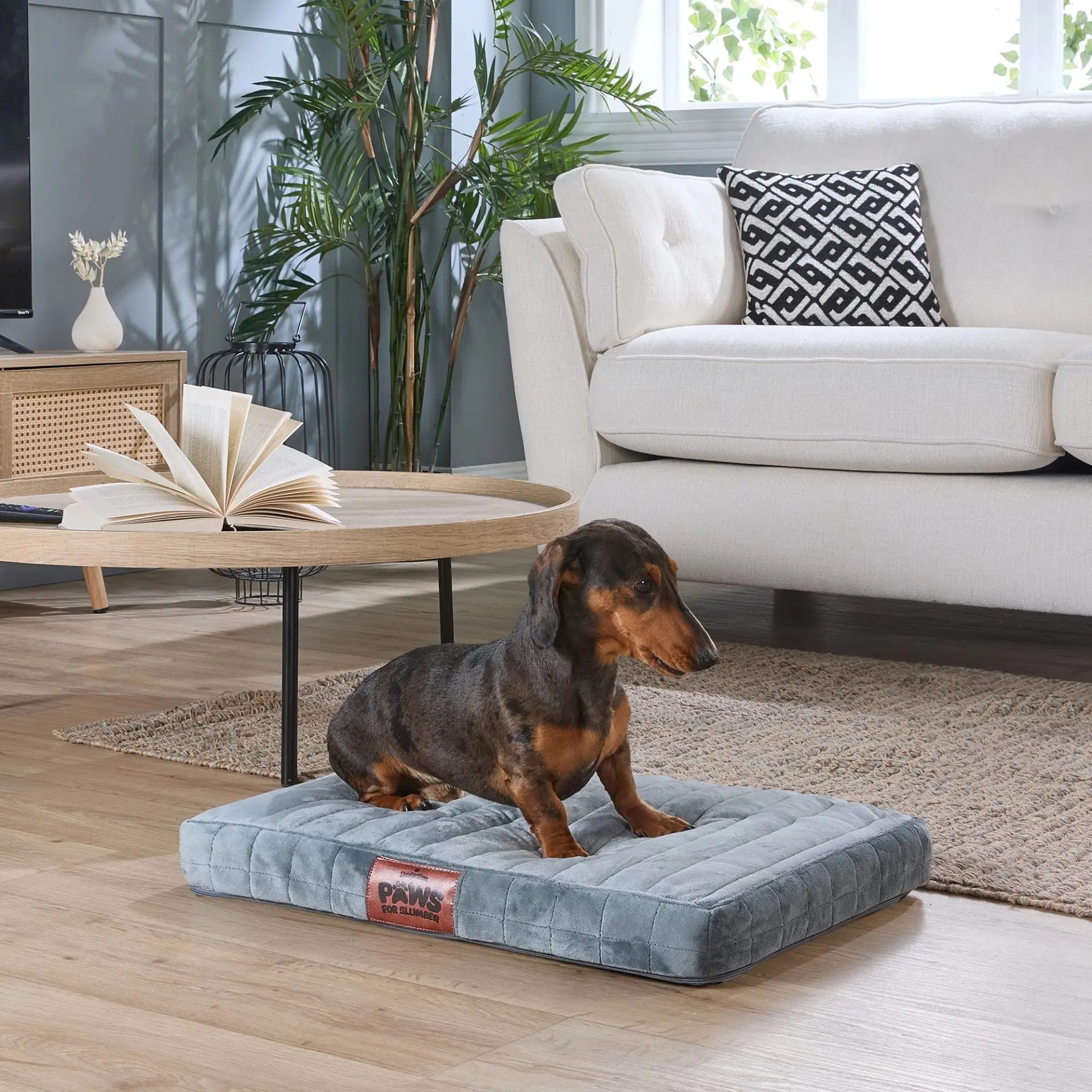 Paws For Slumber Orthopaedic Pet Bed Slumberdown