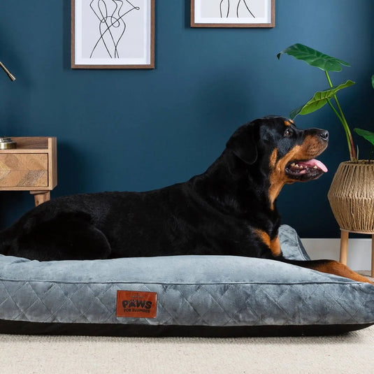 Paws for Slumber Luxury Pet Bed Slumberdown