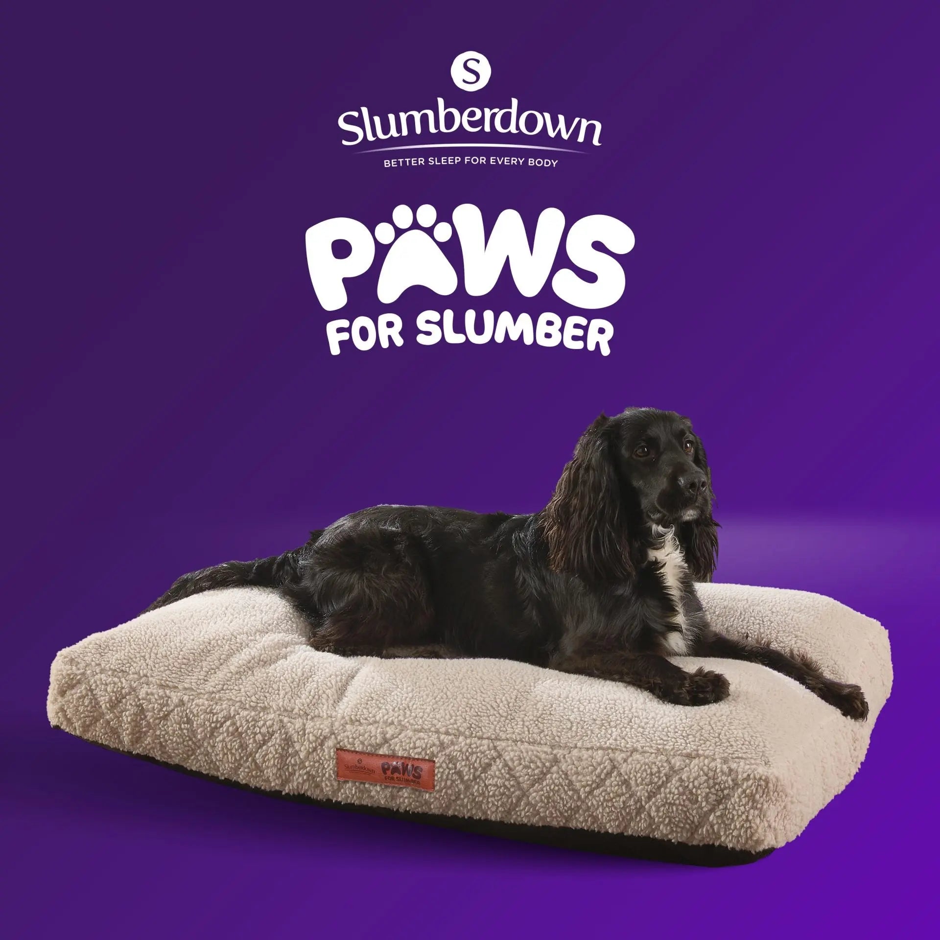 Paws for Slumber Sherpa Fleece Pet Bed Slumberdown