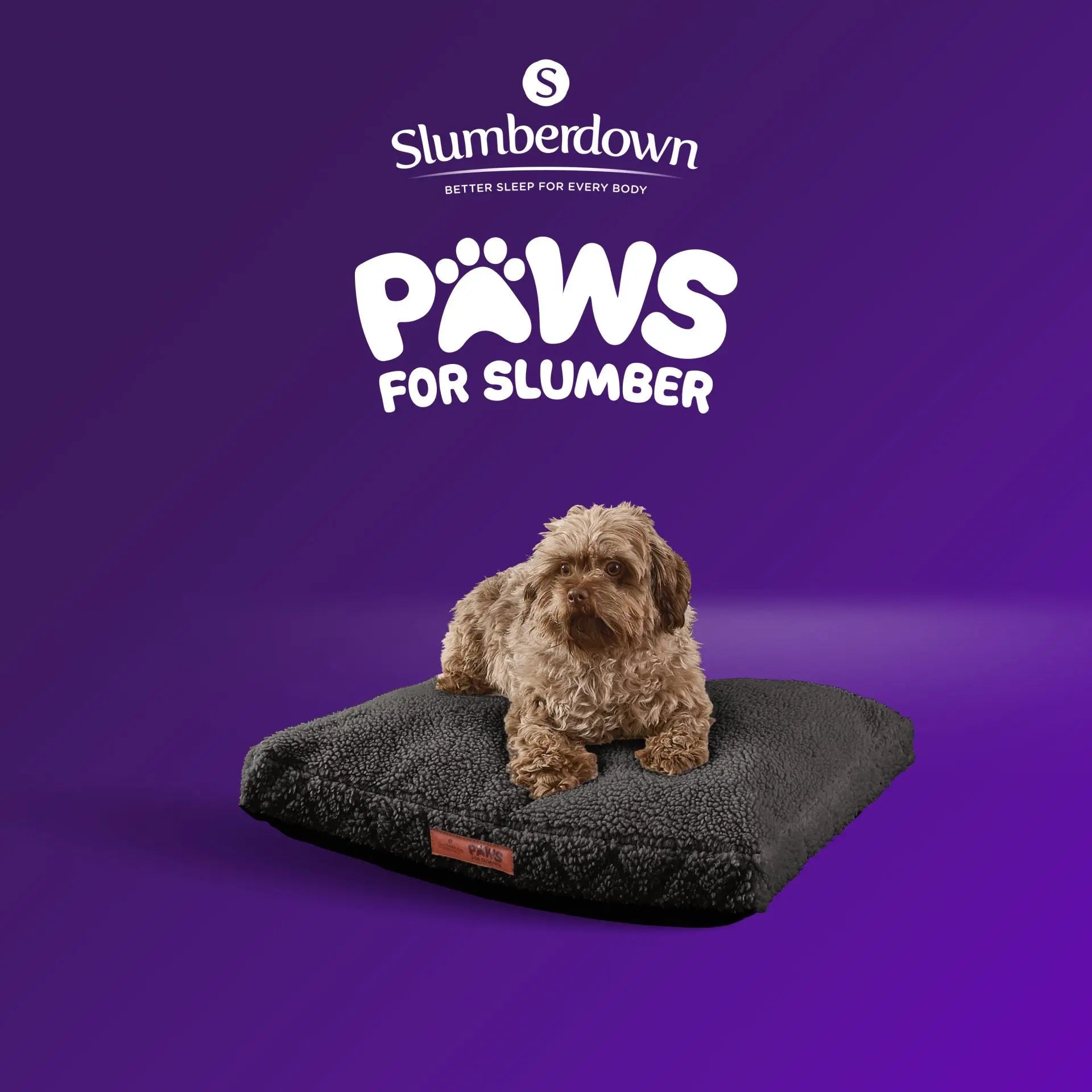Paws for Slumber Sherpa Fleece Pet Bed Slumberdown