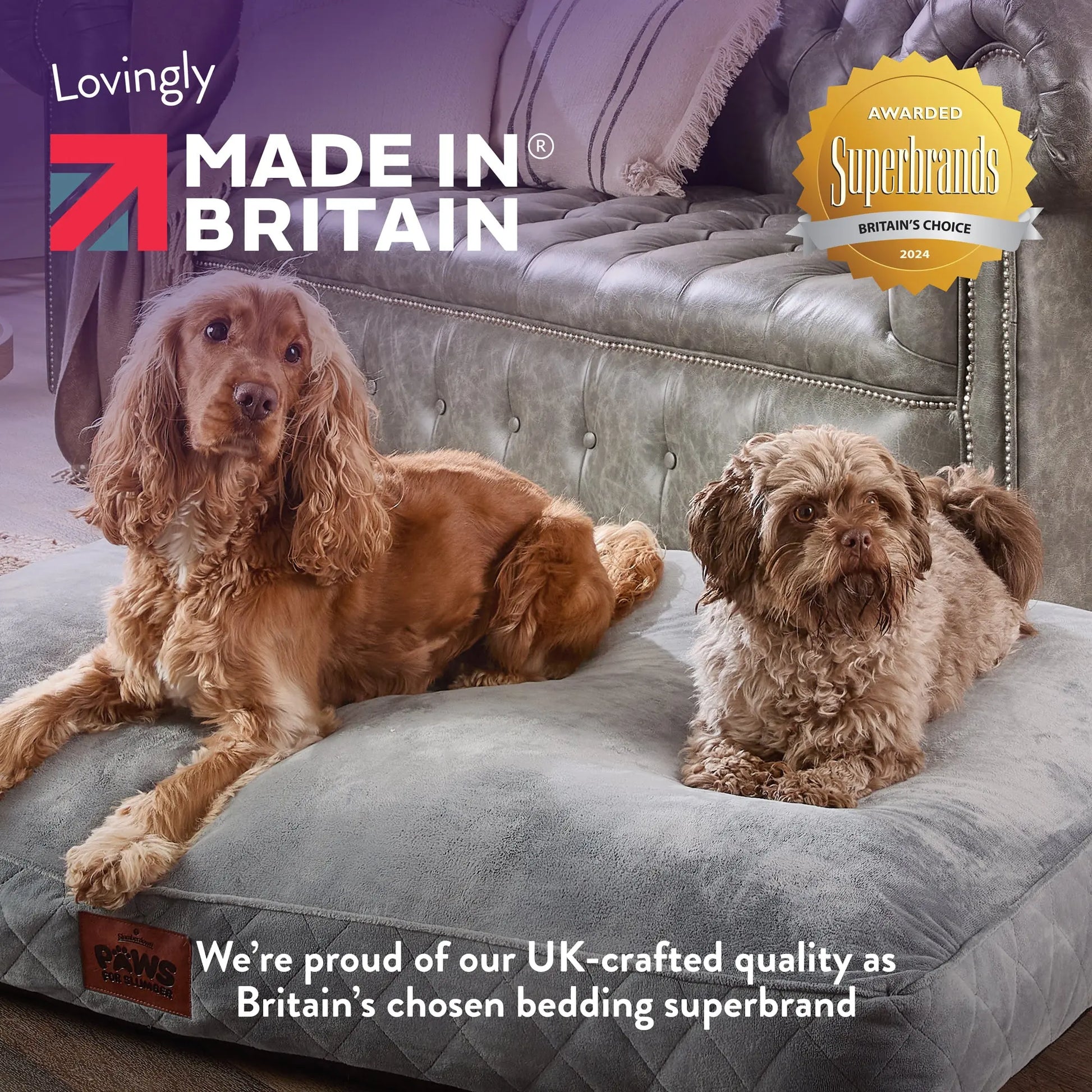 Paws for Slumber Luxury Pet Bed Slumberdown