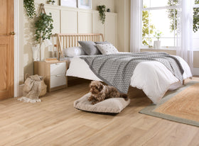 What does your dogs sleep position mean?