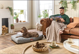 How to Choose the Right Pet Bed for Your Cat or Dog
