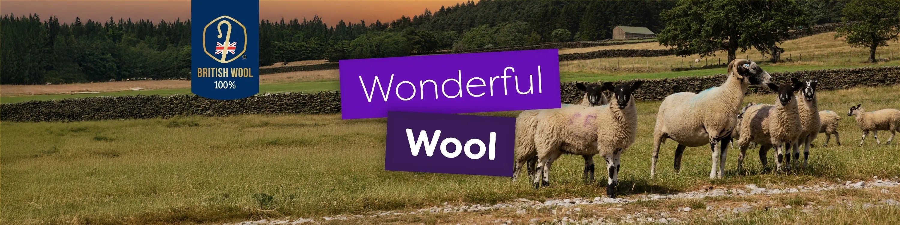 Wonderful-wool Slumberdown