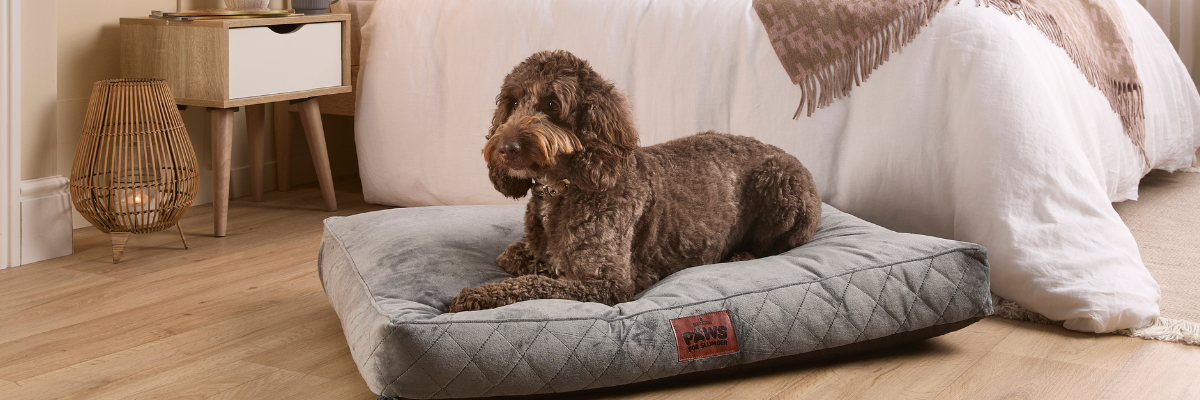 Orthopaedic-Pet-Beds Slumberdown