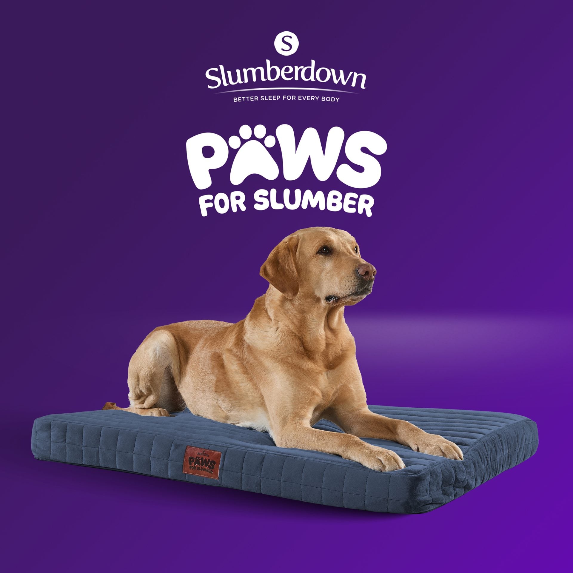 Paws For Slumber Orthopaedic Pet Bed