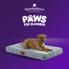 Paws For Slumber Orthopaedic Pet Bed