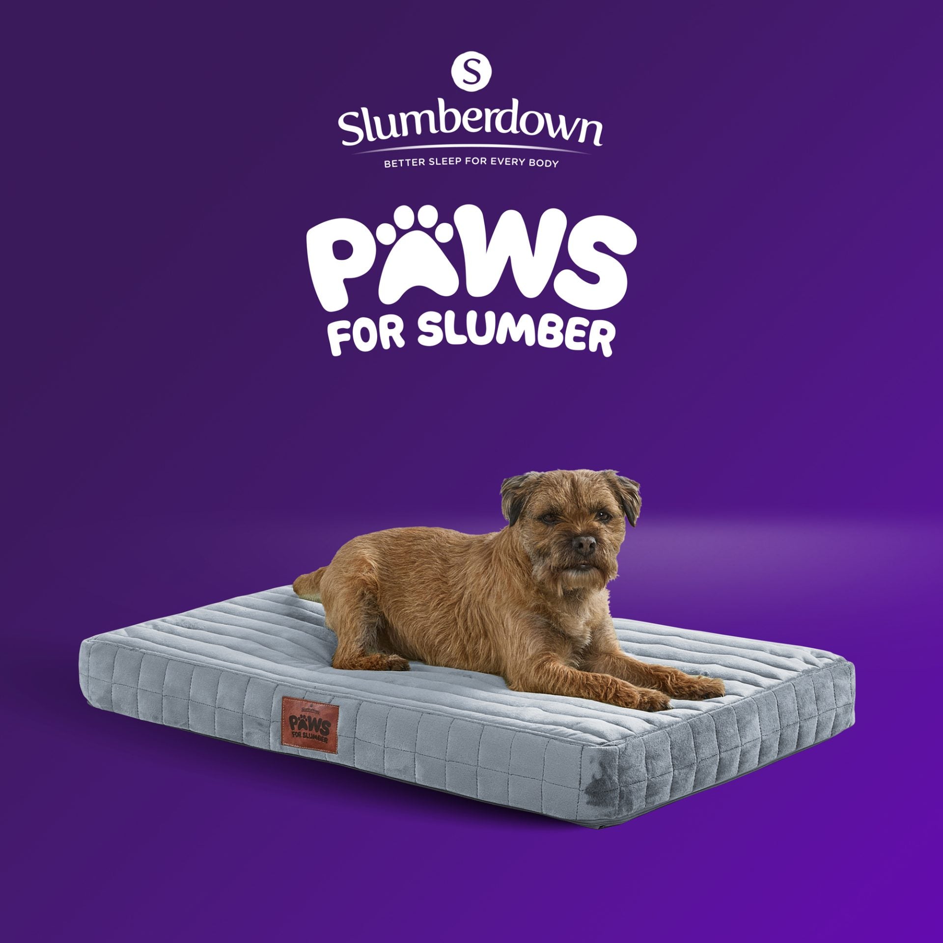 Paws For Slumber Orthopaedic Pet Bed