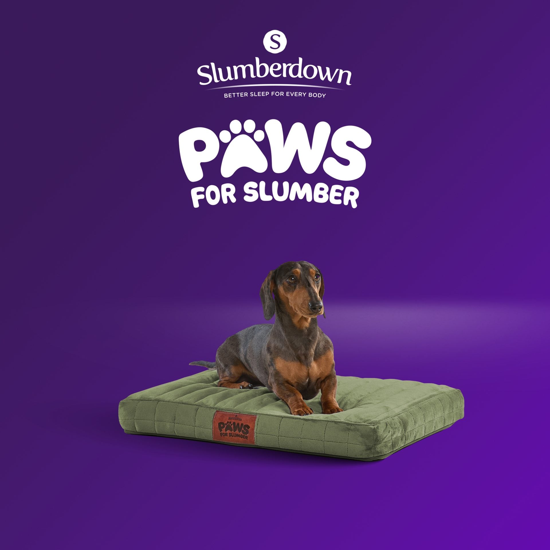 Paws For Slumber Orthopaedic Pet Bed