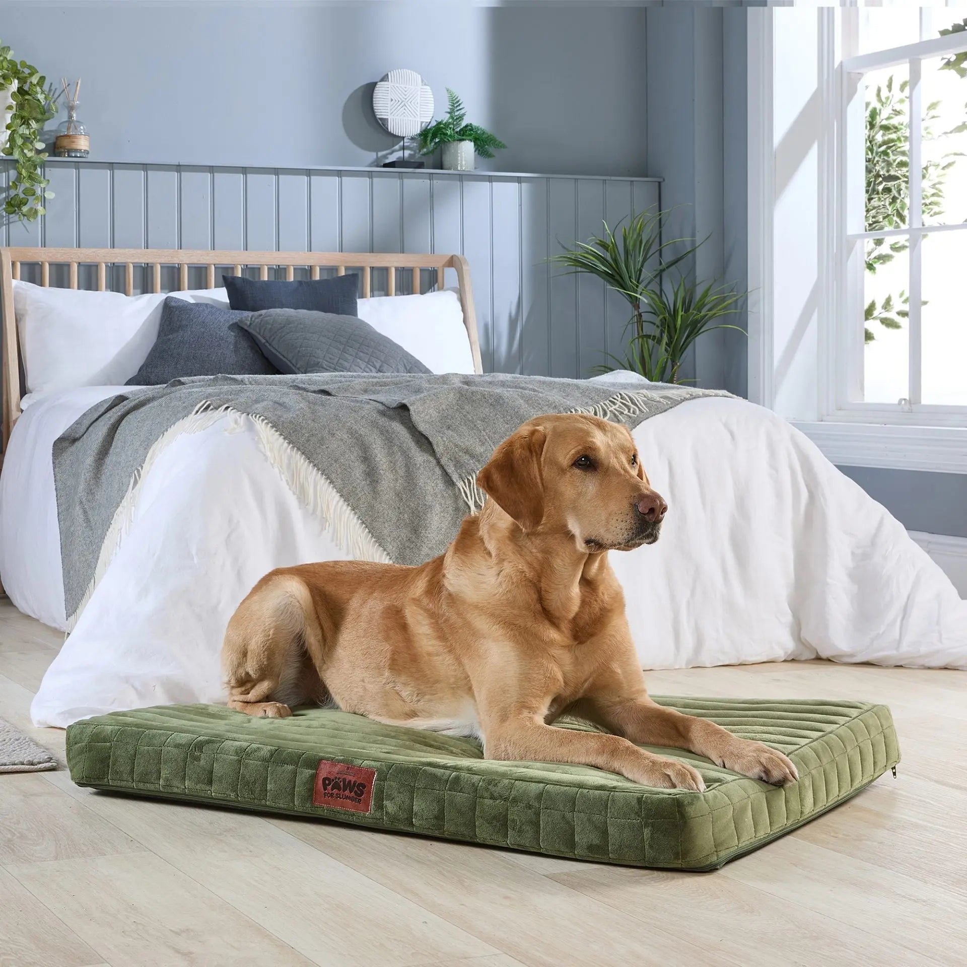 Paws For Slumber Orthopaedic Pet Bed Slumberdown