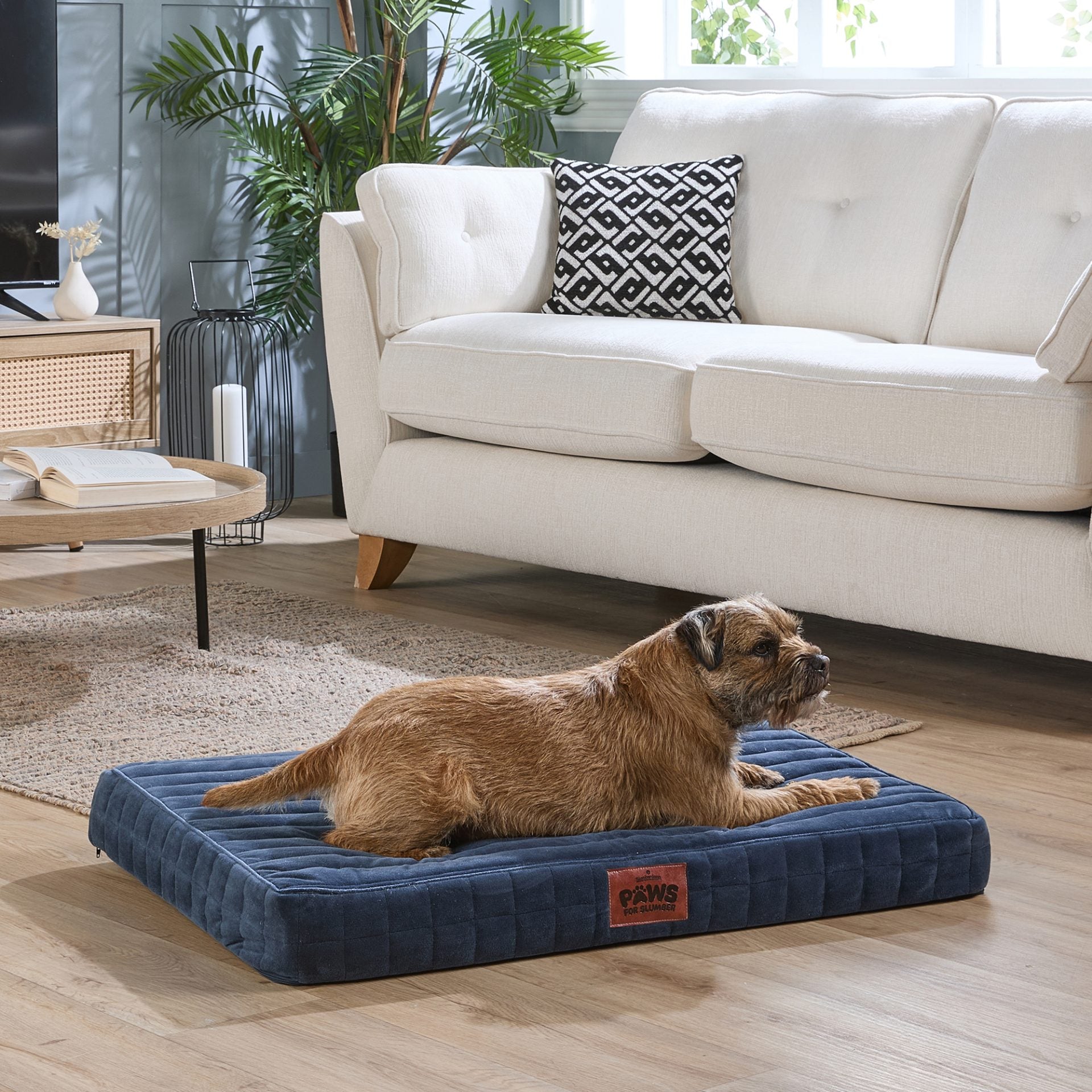 Paws For Slumber Orthopaedic Pet Bed