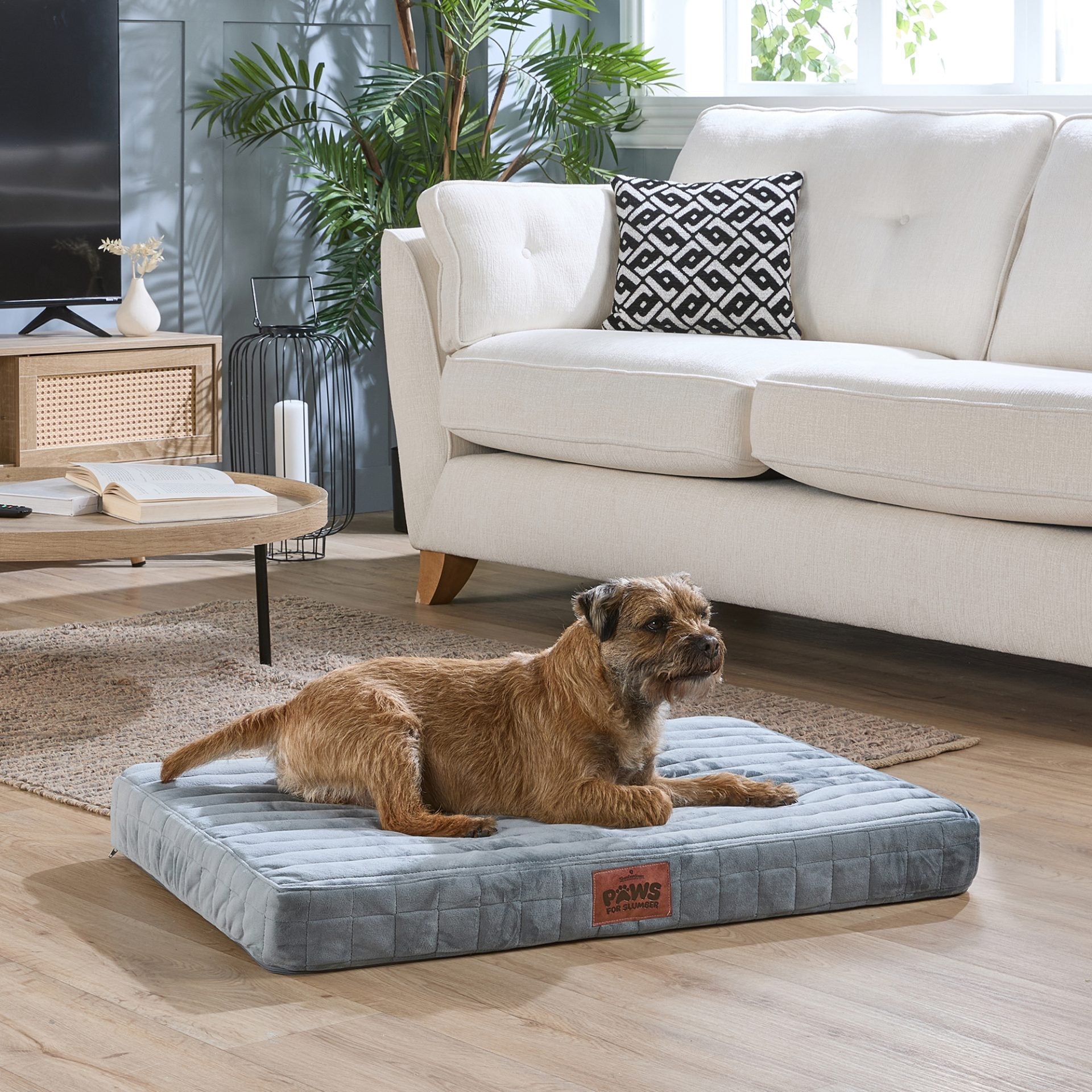 Paws For Slumber Orthopaedic Pet Bed