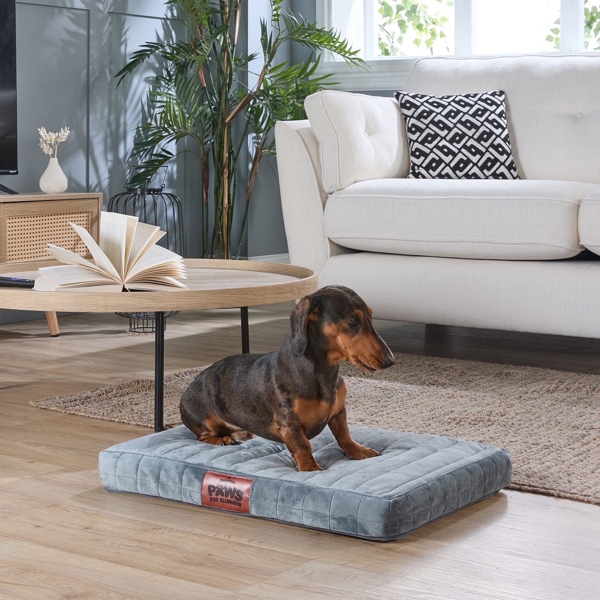 Paws For Slumber Orthopaedic Pet Bed