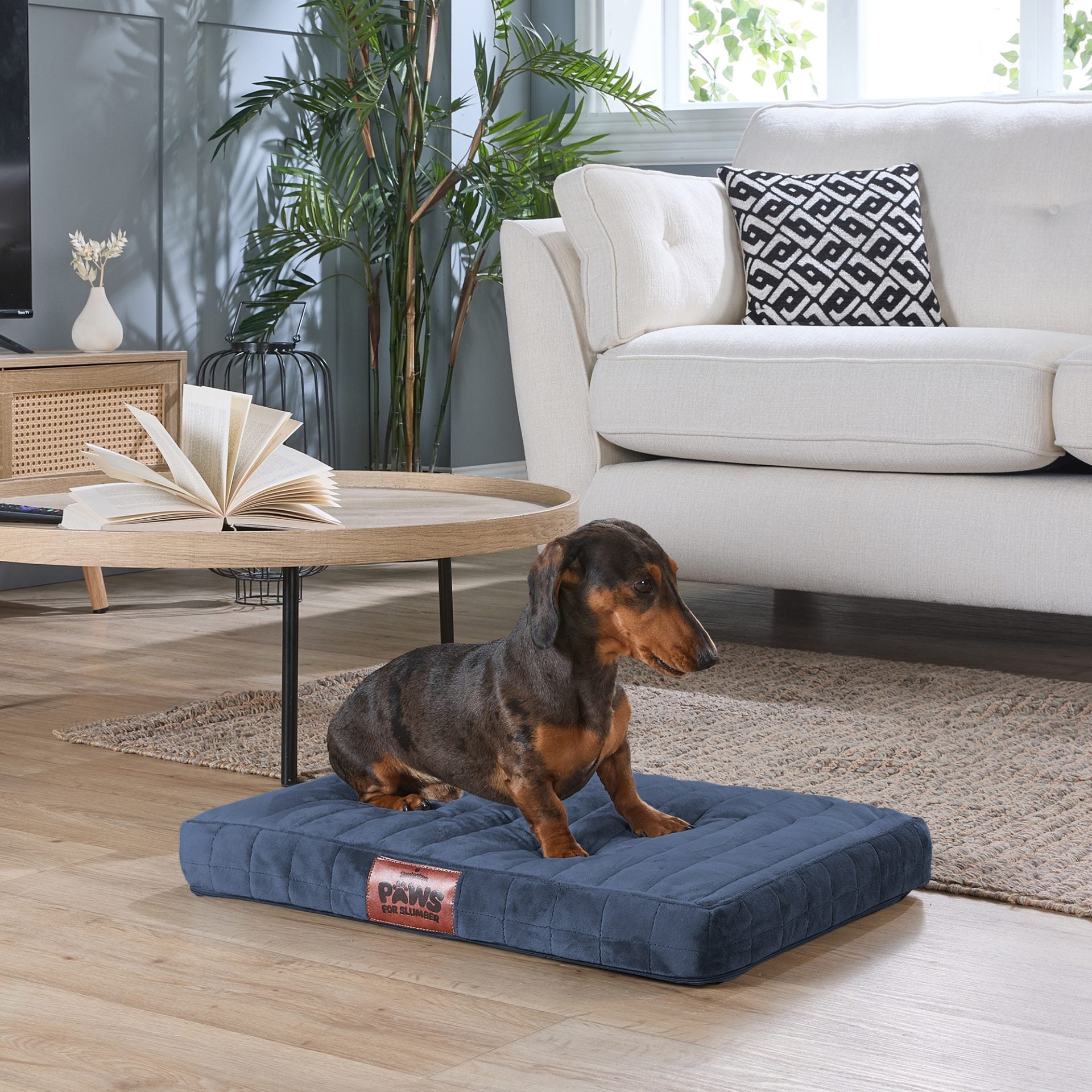 Paws For Slumber Orthopaedic Pet Bed