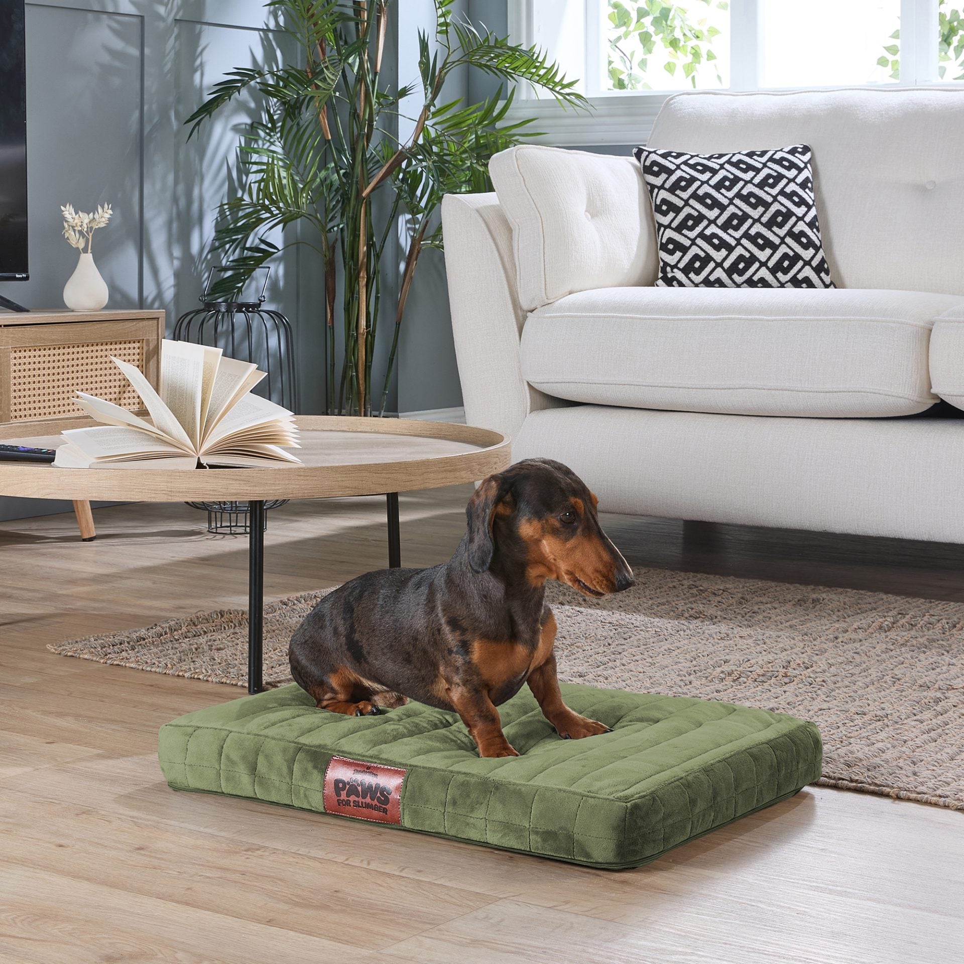 Paws For Slumber Orthopaedic Pet Bed