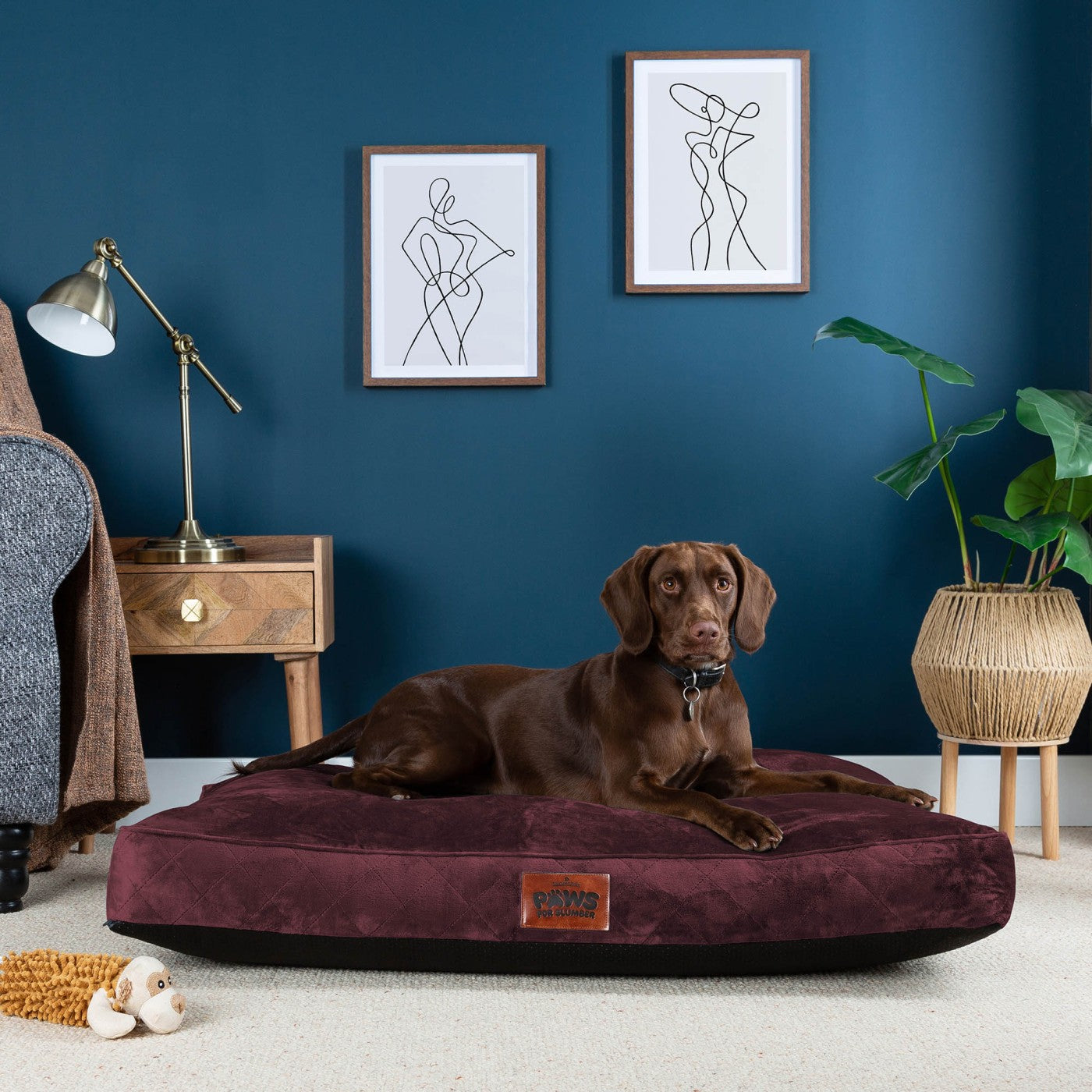 Paws for Slumber Luxury Pet Bed