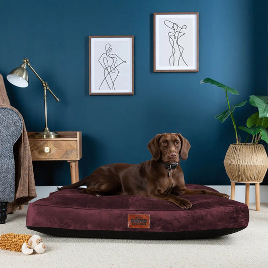 Paws for Slumber Luxury Pet Bed Slumberdown