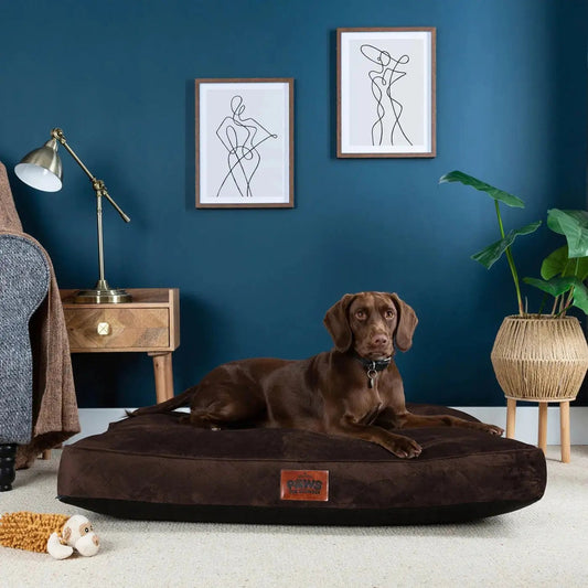 Paws for Slumber Luxury Pet Bed Slumberdown