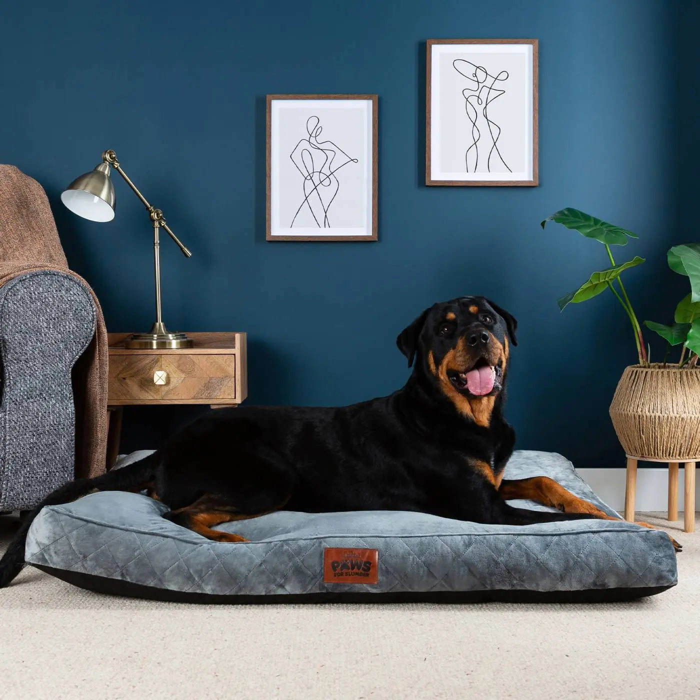 Paws for Slumber Luxury Pet Bed Slumberdown