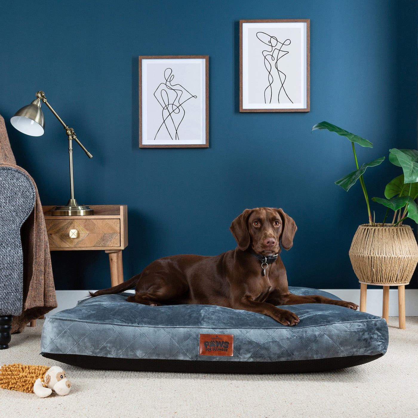 Paws for Slumber Luxury Pet Bed