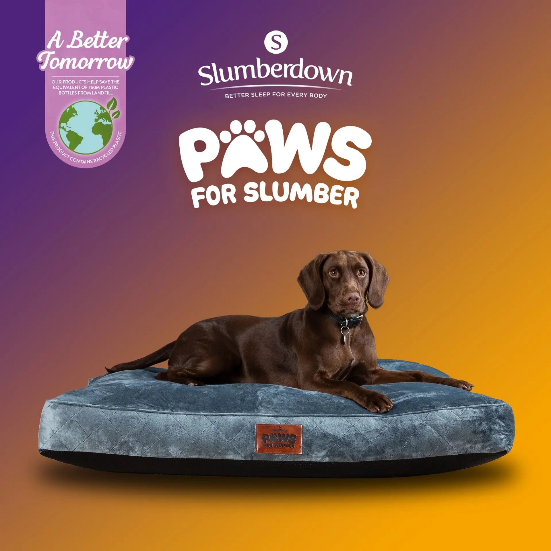 Paws for Slumber Luxury Pet Bed Slumberdown