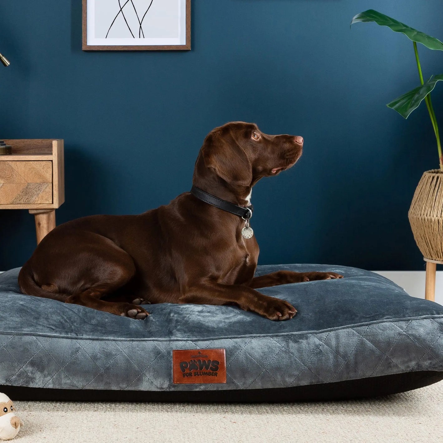 Paws for Slumber Luxury Pet Bed Slumberdown
