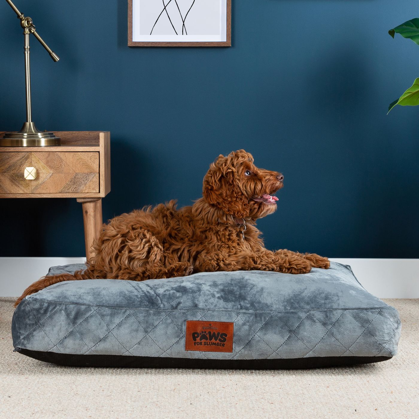 Paws for Slumber Luxury Pet Bed