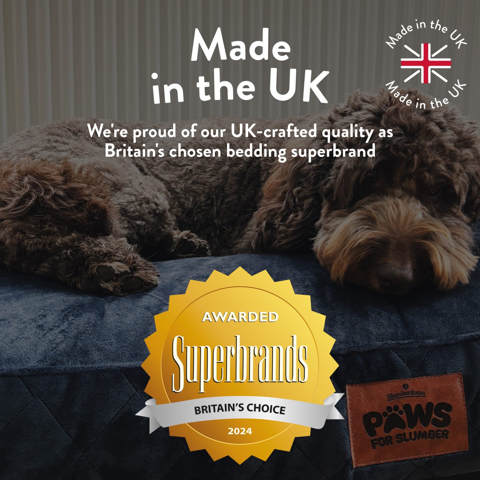 Paws For Slumber Orthopaedic Pet Bed