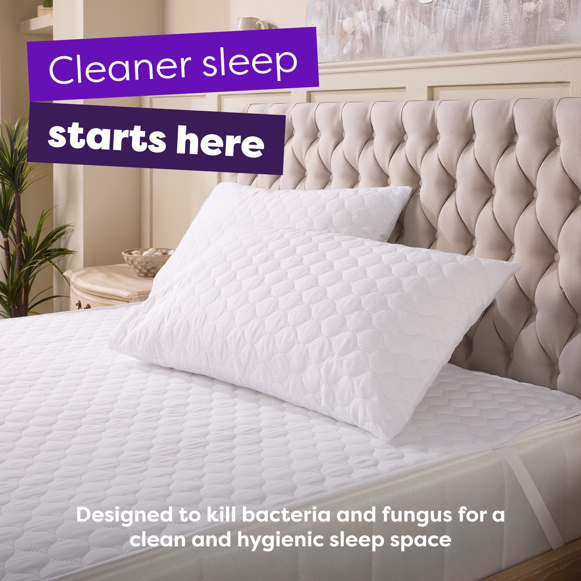 Anti Allergy Protection Pillow Protector 2 Pack
