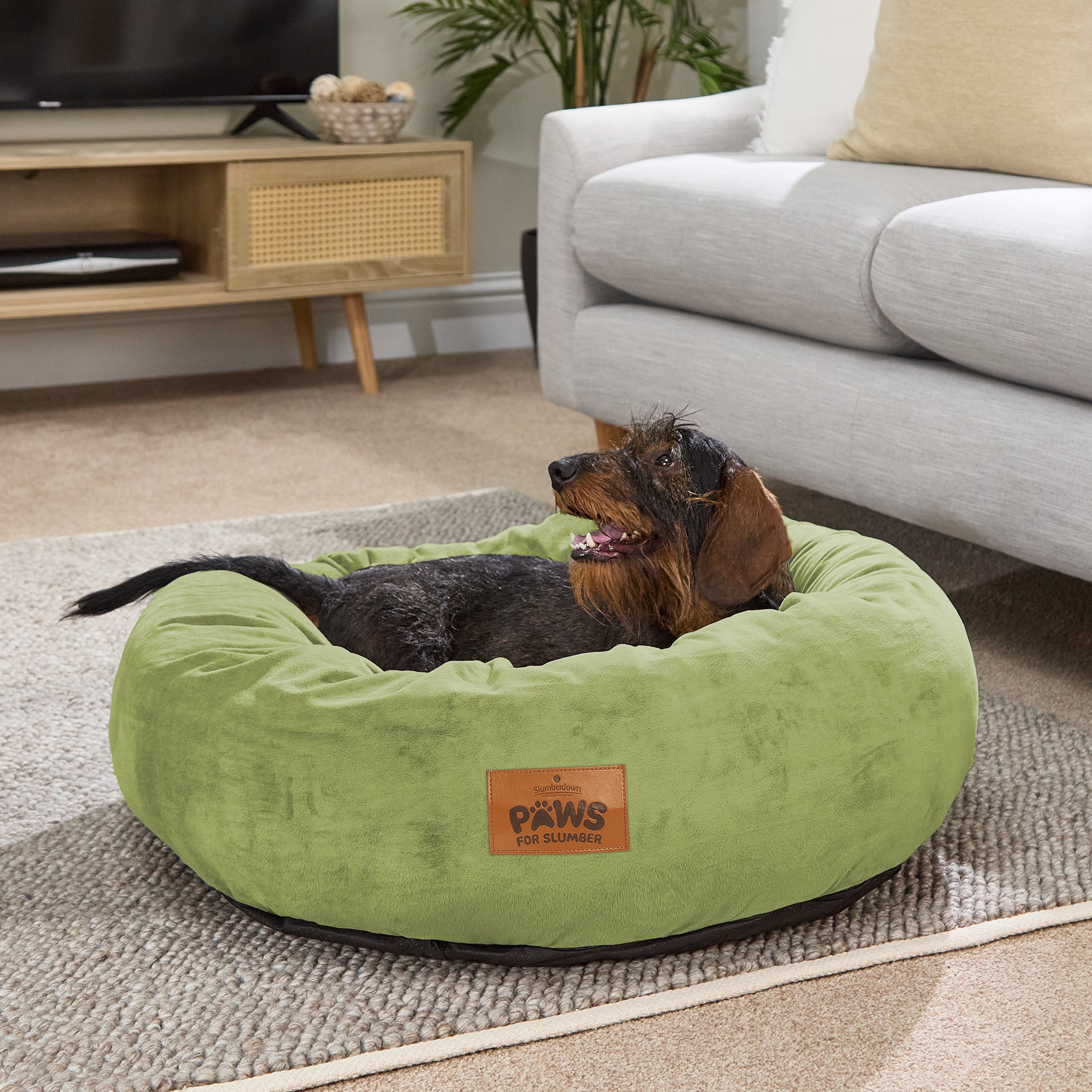 Paws for Slumber Donut Pet Bed