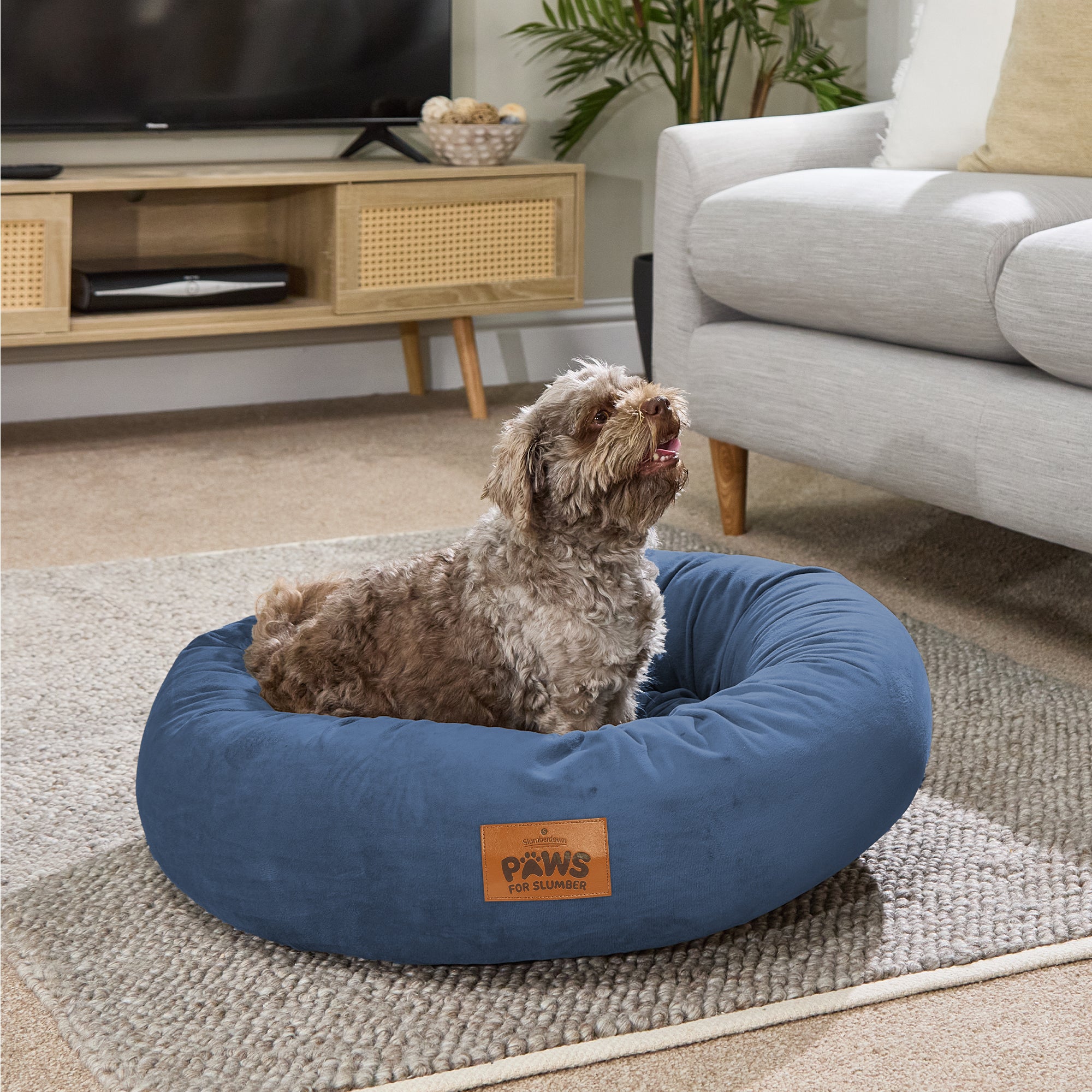 Paws for Slumber Donut Pet Bed