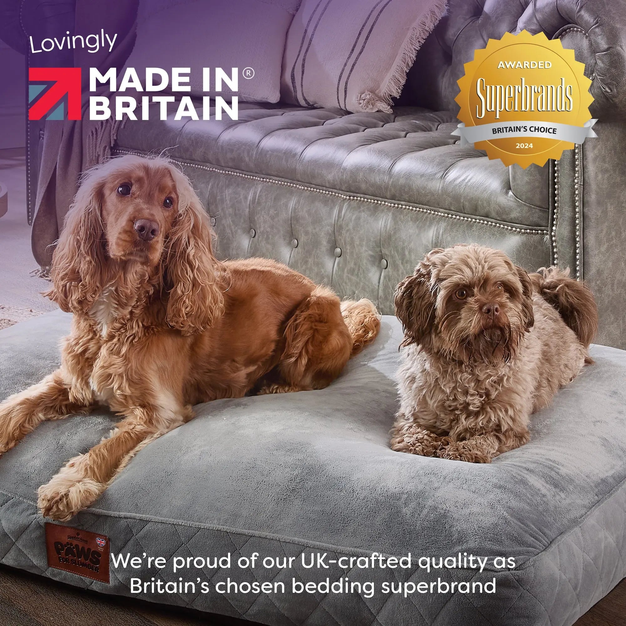 Paws for Slumber Luxury pet bed Slumberdown