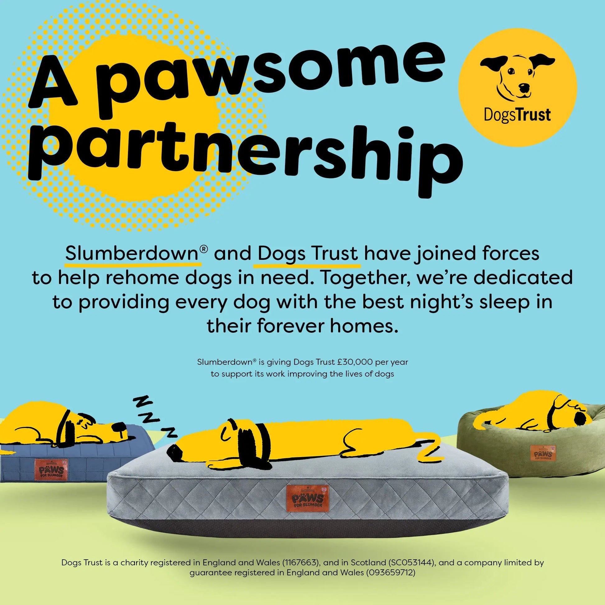 Paws for Slumber Luxury pet bed Slumberdown