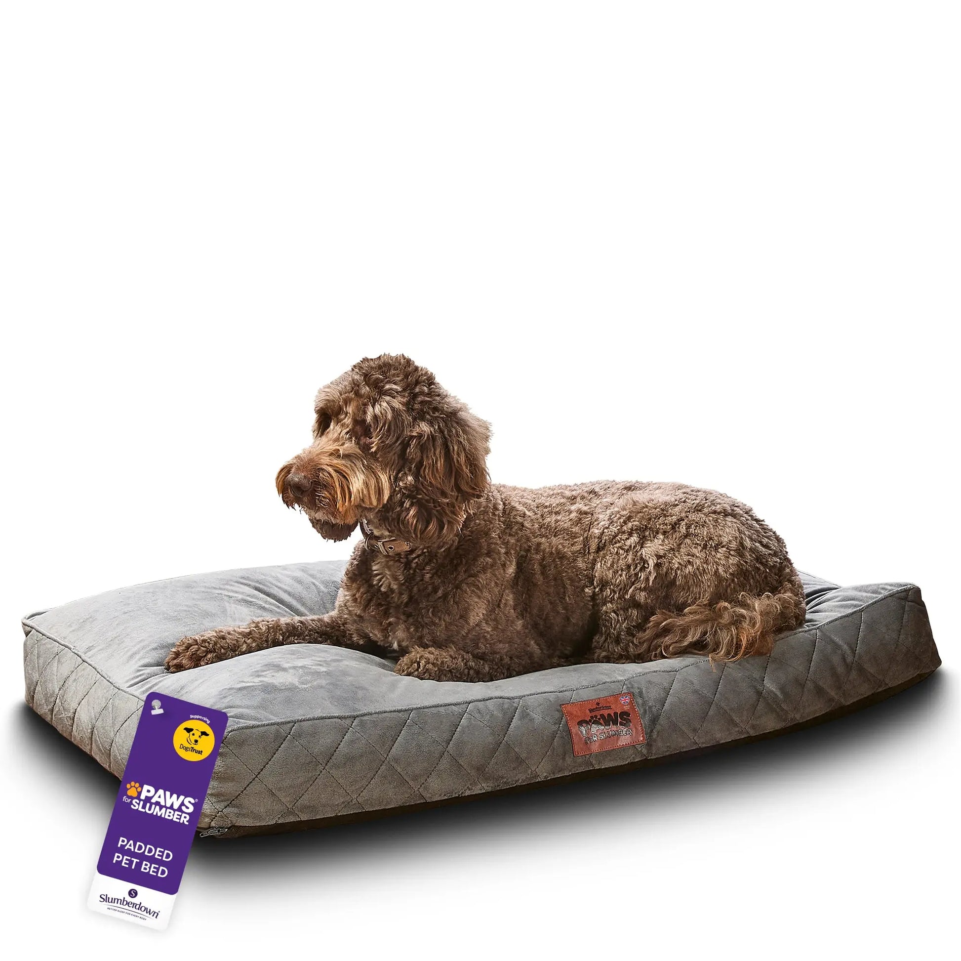 Paws for Slumber Luxury pet bed Slumberdown