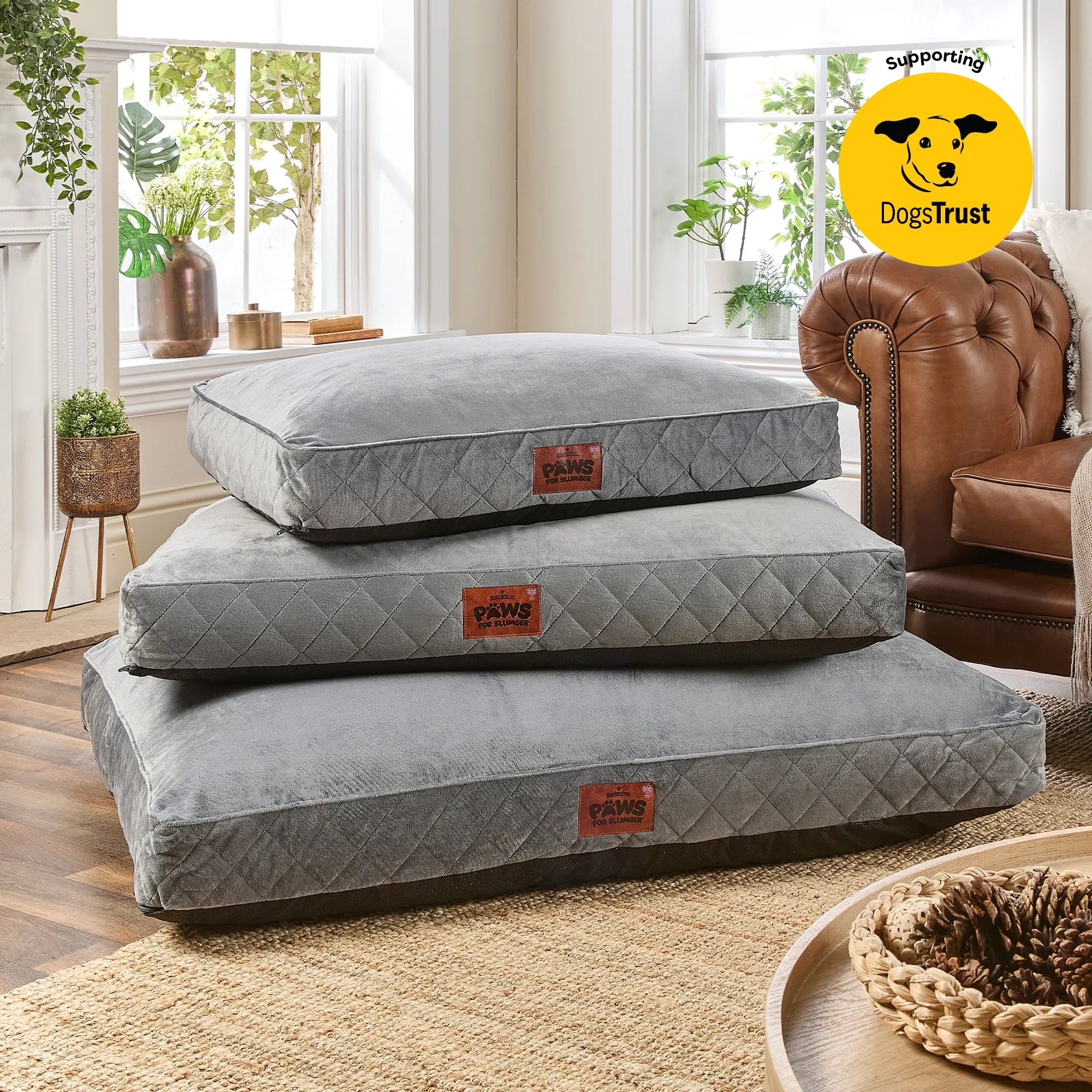 Paws for Slumber Luxury pet bed Slumberdown