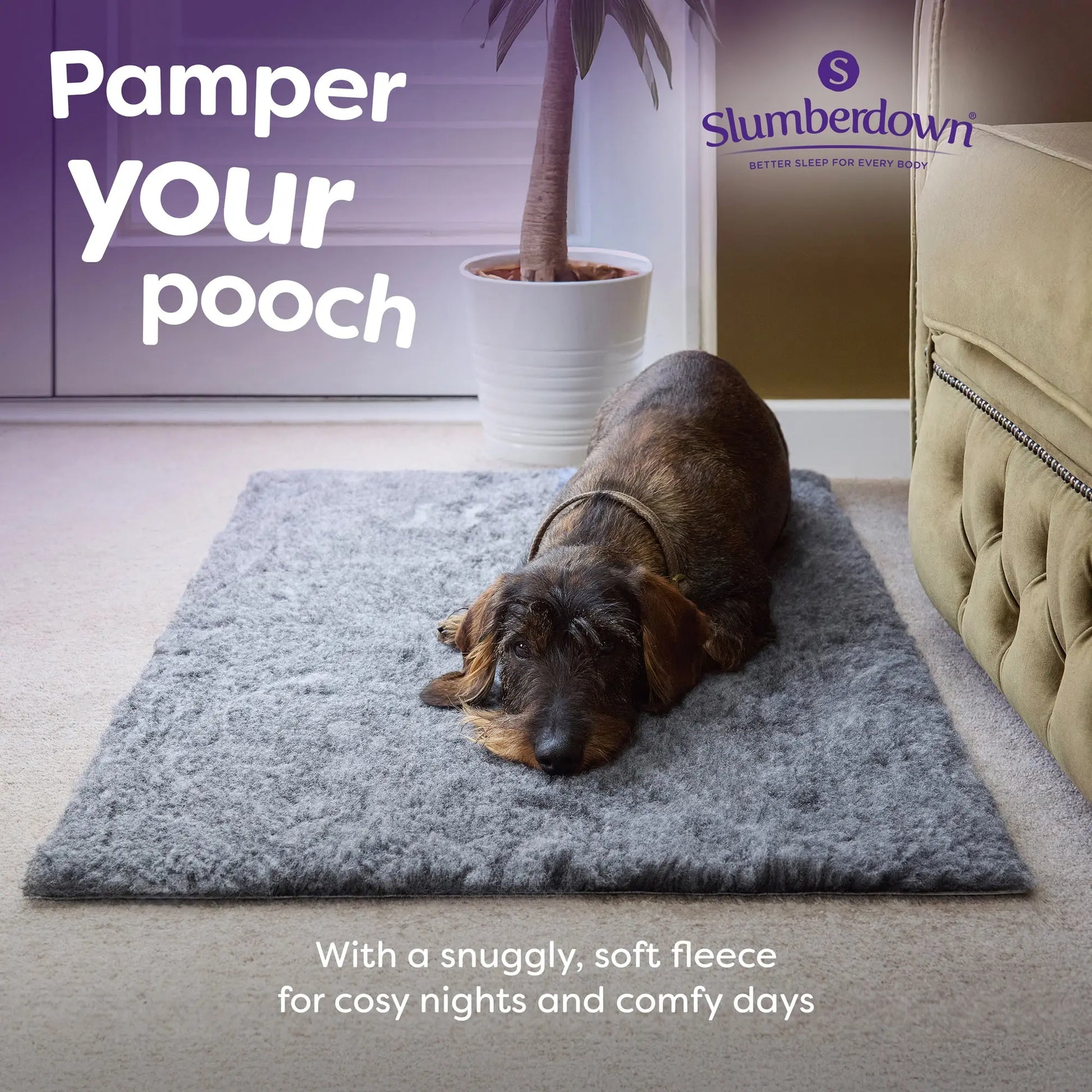 Slumberdown Paws for Slumber Vet Mat Slumberdown
