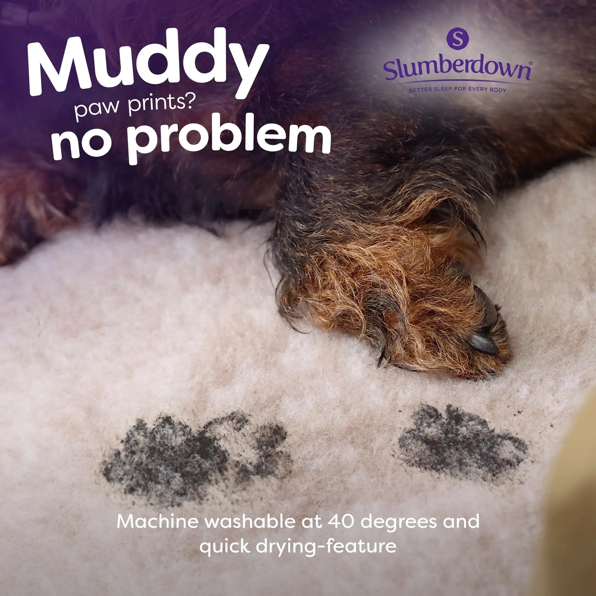 Slumberdown Paws for Slumber Vet Mat Slumberdown