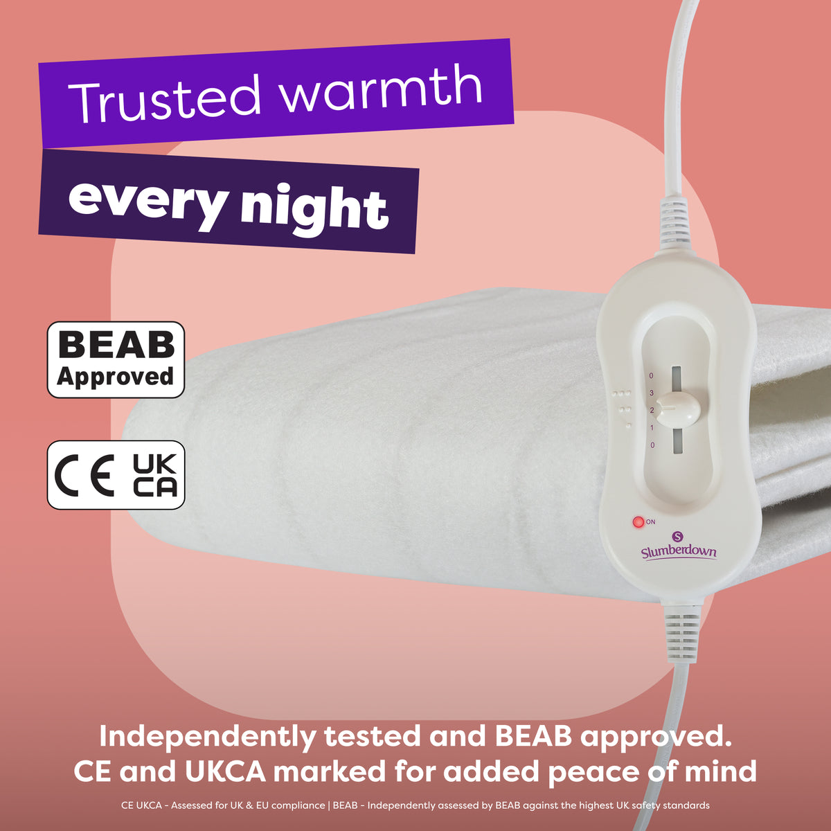 Sleepy Nights Electric Blanket