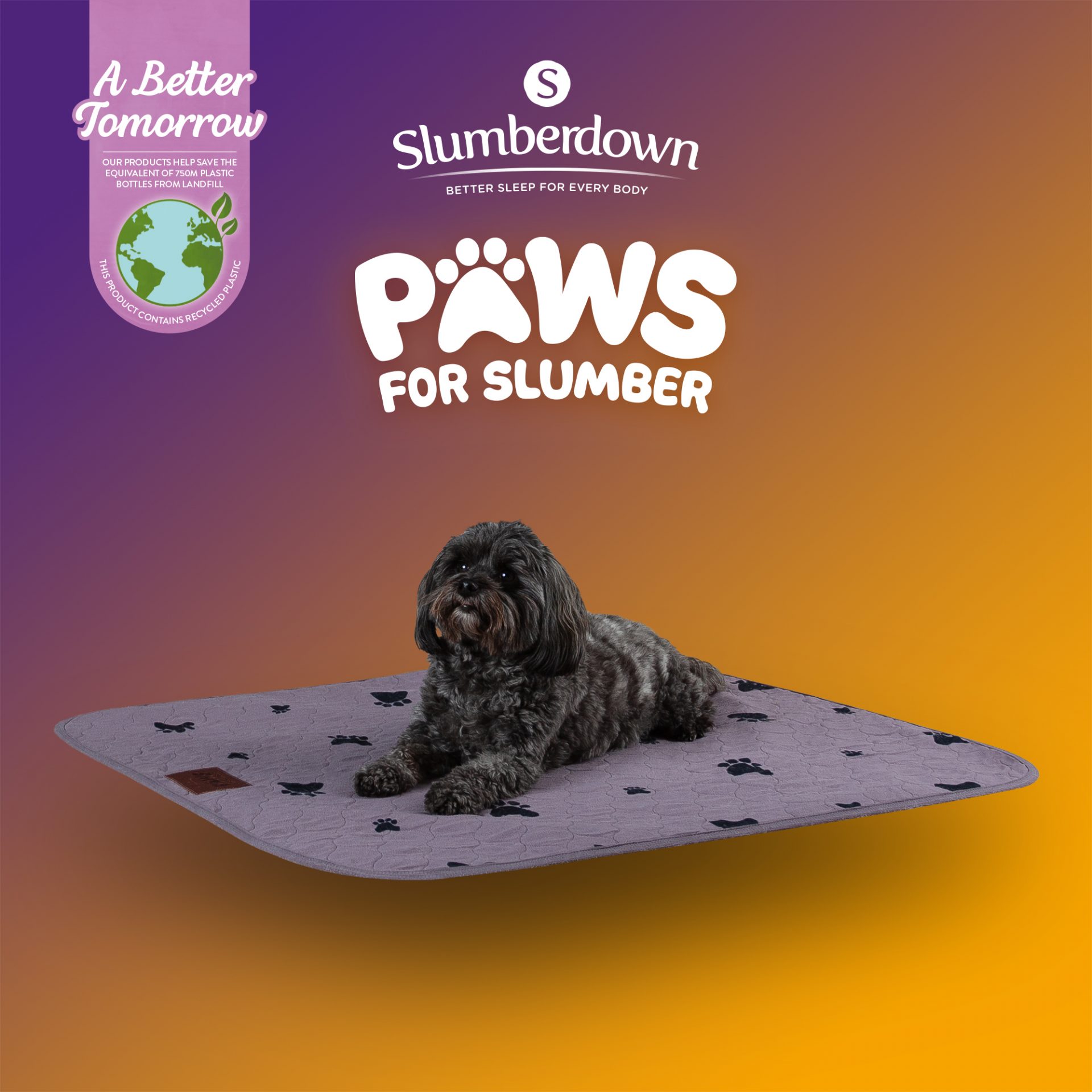 https://www.slumberdown.co.uk/wp-content/uploads/2023/04/Slumberdown-Paws-for-Slumber-Waterproof-Mat-01_V2-scaled.jpg
