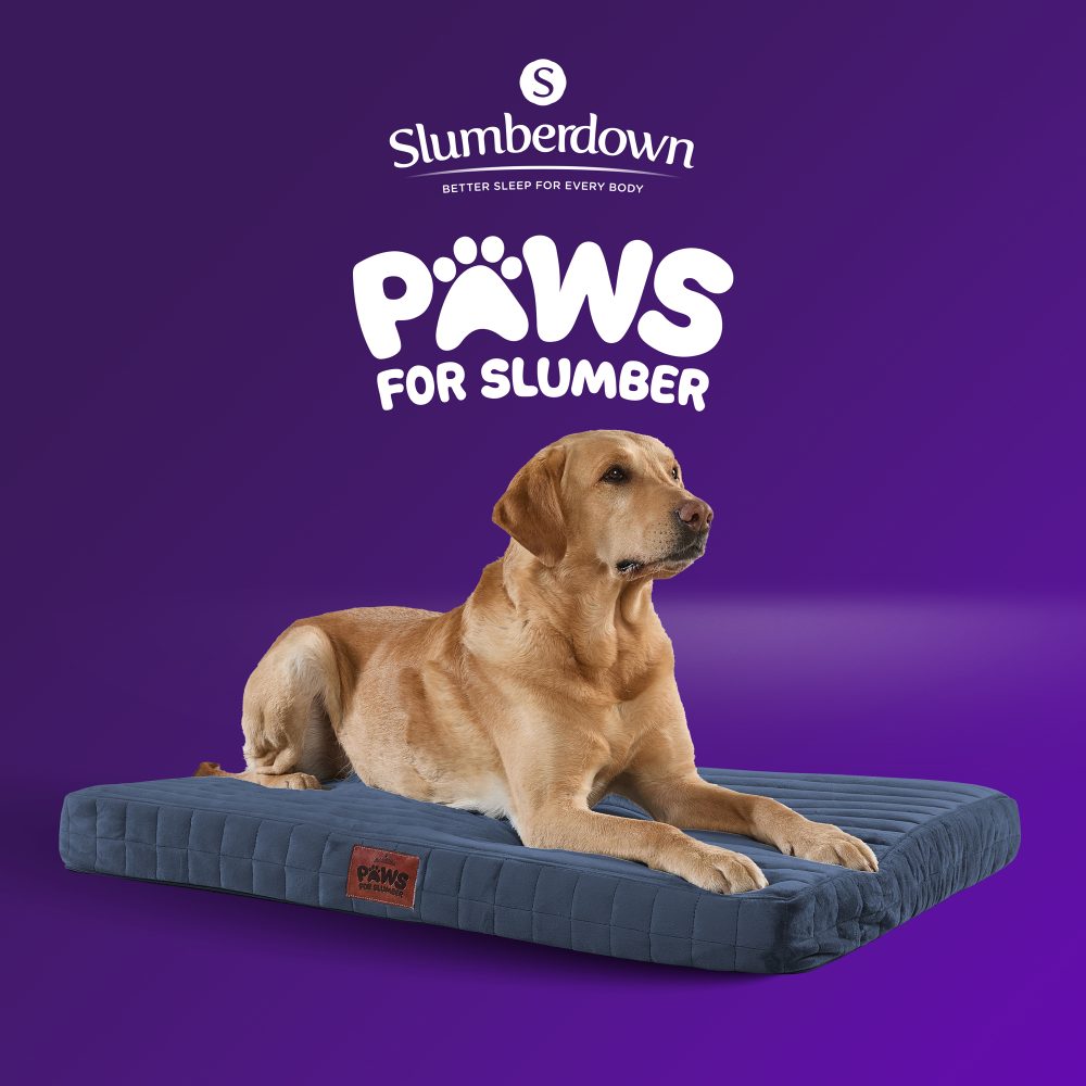 Slumberdown Navy Orthopaedic Pet Bed